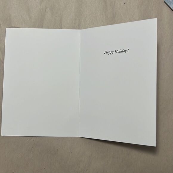 HAT CAT WITH WILD BIRD HOLIDAY CARD BUNDLE 19 - Picture 3 of 5